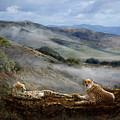 Cheetah Ridge
