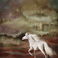 Storybook Stallion