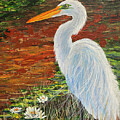 The Fisherman