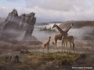Local Photographer Named Diamond Photographer Of The Year At International Photographic Competition